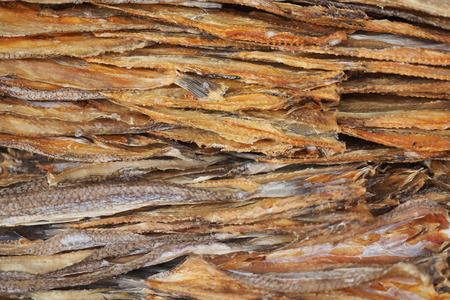 dried fish foodの写真素材