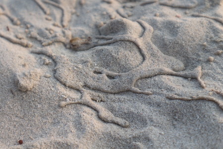 Beach sand.の写真素材