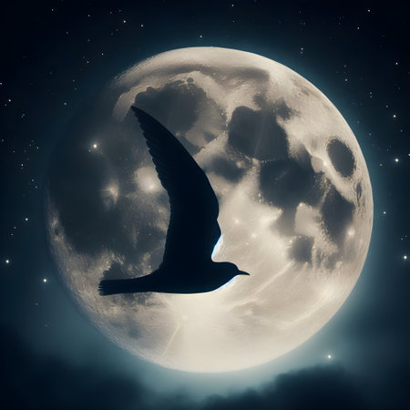 Silhouetted bird flying across the full moon.の素材