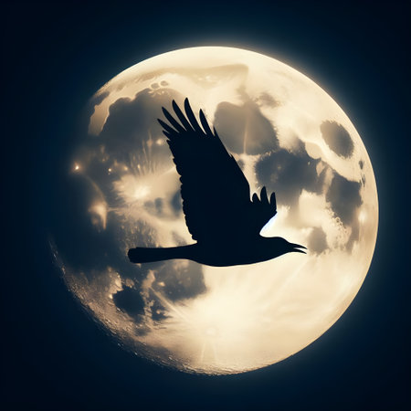 Silhouetted bird flying across the full moon.の素材