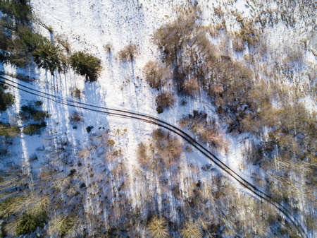 Empty road in a forest from a drone.の写真素材