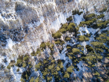 Aerial view of winter forest from drone. Nature, scenic.