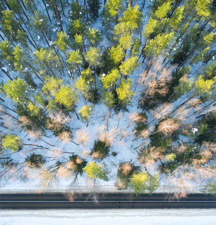 Empty road in a forest from a drone.