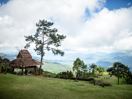 tree and mountainsの写真素材