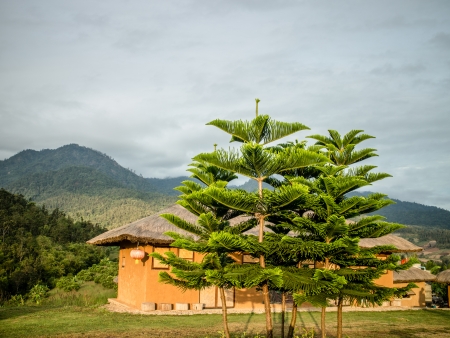 cottage and forestの写真素材