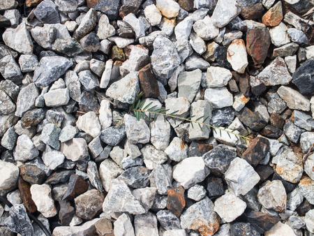 Stone background with trees than up the middle.