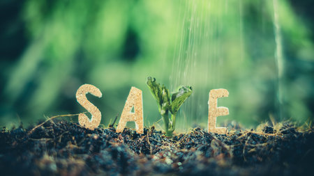 Green plant growing out of soil with word SALE. Ecology conceptの写真素材