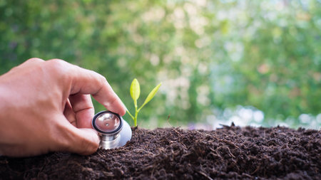Hand holding a stethoscope and plant growing out of soil.の写真素材