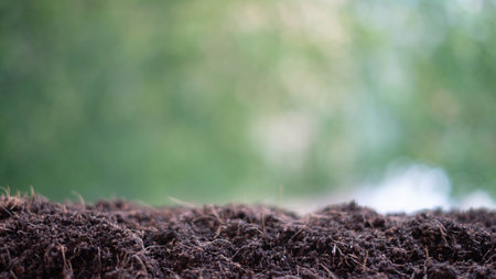 Close up of soil with bokeh background, nature concept.の写真素材