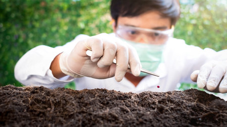 Select focus Seeds drop on the planting hole over blurred Smart Farmers hand planting seedlings in a...