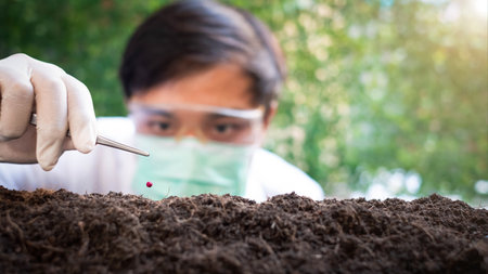 Scientist is planting seedlings in the soil. Selective focus. nature.の写真素材