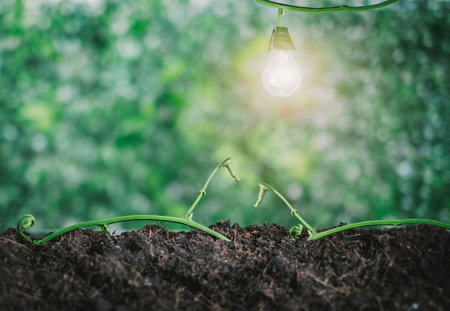 Natural energy power plug, Energy from nature friendly to the environment and the world for renewable, sustainable development over blurred green nature background. environment and Ecology conceptの写真素材