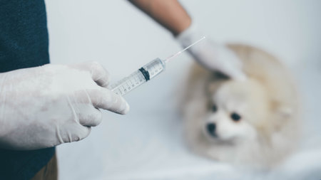The vet injected the syringe to treat sick animals.Vaccination concept. Healthcare, hospital and...