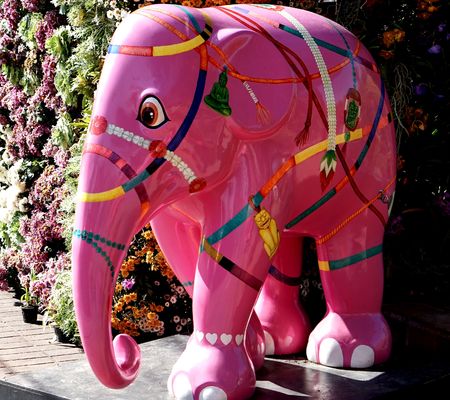 elephantの写真素材