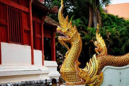 Nagas are mythical serpent beings that originated in Hinduism. In Buddhism, they often are protectors of the Buddha and of the dharma. The word naga means "cobra" in Sanskrit.の写真素材