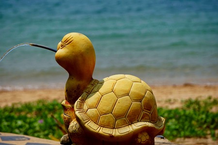 Sea turtles, cold reptiles With the spine And lungs are used to breathe. Which happened in the world since primitive age. Most of life in water. And to land on the beach to lay eggs.の写真素材