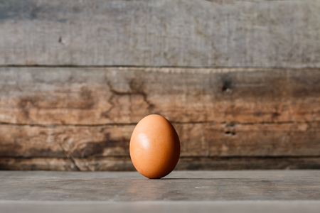 Single brown chicken eggの写真素材