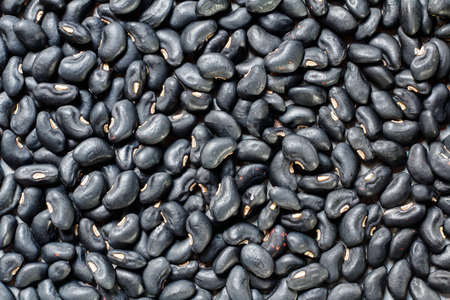 Close up from Black Beans as Backgroundの写真素材