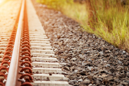 Railway and plant in the day in the countryside in Thailand, selective focus.の写真素材