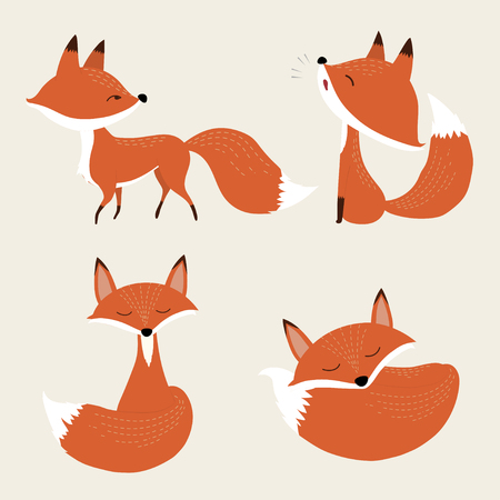 Cute fox set.のイラスト素材