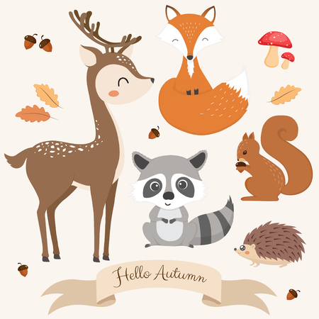 Set of cute woodland animals.のイラスト素材