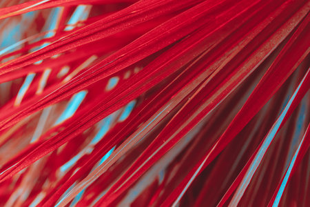 Low key palm leaves dark nature background.の写真素材