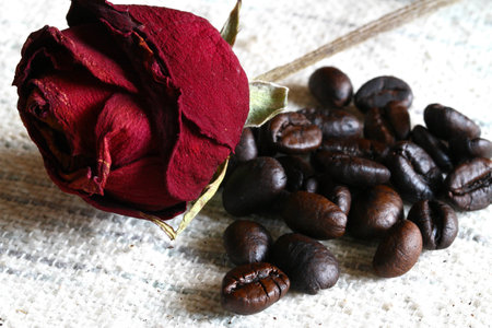 coffee bean with roseの写真素材