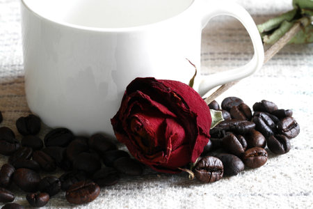 coffee bean with roseの写真素材