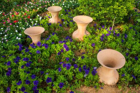 My flower garden.の写真素材