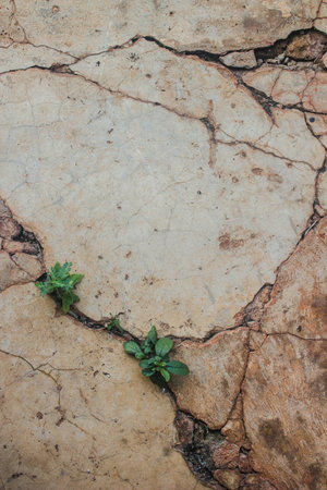 Old cement wall partially damaged, Old cement wall texture. Old cement wall one hundred and thirty...