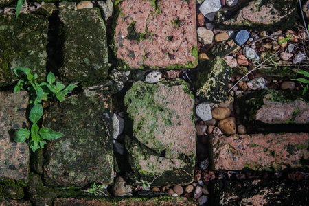 Old brick wall partially damaged, Old cement wall texture. Old cement wall one hundred and thirty two yearsの写真素材