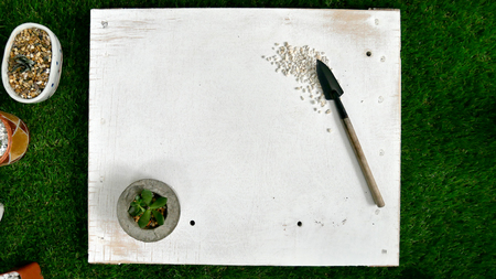 Cactuses and Shovel on the white wood background.の写真素材