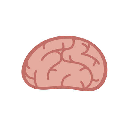 Brain in flat vector cartoon style.のイラスト素材