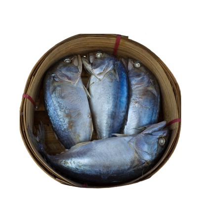 Mackerel fish in bamboo basket on White background. の写真素材