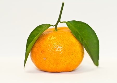 orange isolated on white background  の写真素材
