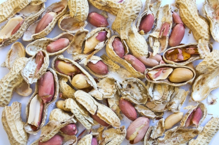 bake of peanuts with shell  の写真素材