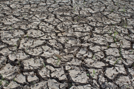 texture of dry cracked  の写真素材