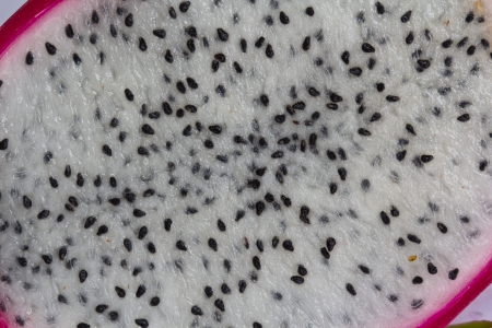 Vivid and Vibrant Dragon Fruit isolated against white background  の写真素材
