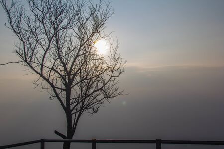 Sunrise at Phu Tub berkの写真素材