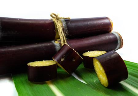 Close up sugar cane fresh on leaves isolated on white backgroundの写真素材