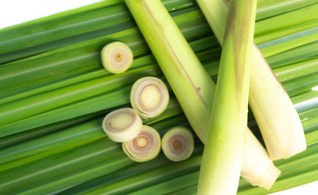 Close up lemon grass isolated on white backgroundの写真素材