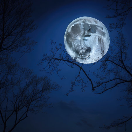 Full moon over the forest at night with tree and blue sky backgroundの素材