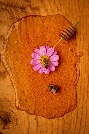 Honeycomb with honey dipper, bee and flower on wooden backgroundの素材