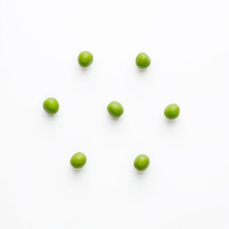 Pink rose isolated on white background. Top view. Flat lay.の素材