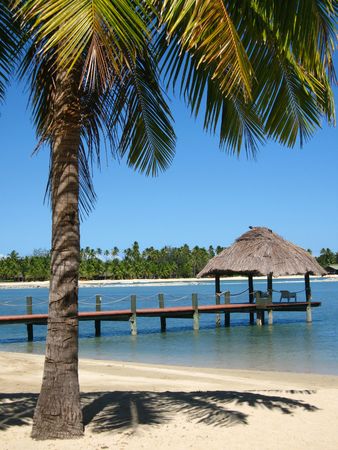 Exotic place, Fijiの写真素材