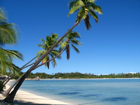 Plantation island, Fijiの写真素材