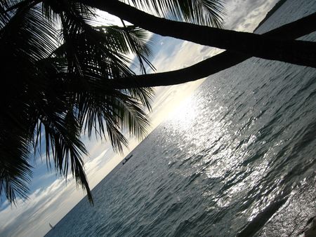 Beach landscape, Fijiの写真素材