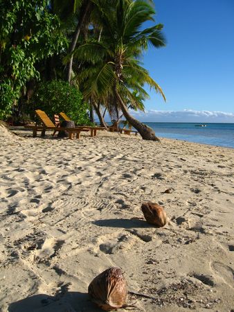 Coconuts on a sandの写真素材
