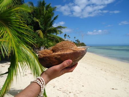 Hand holding a coconutの写真素材