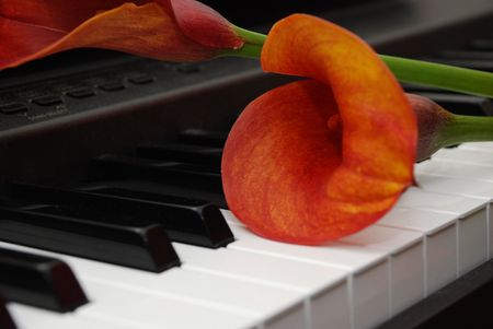 Flower and pianoの写真素材